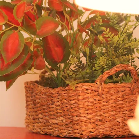 Pike Cliffs I Prainha de Cima